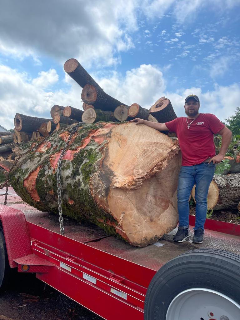 East Coast Tree Service LLC Image